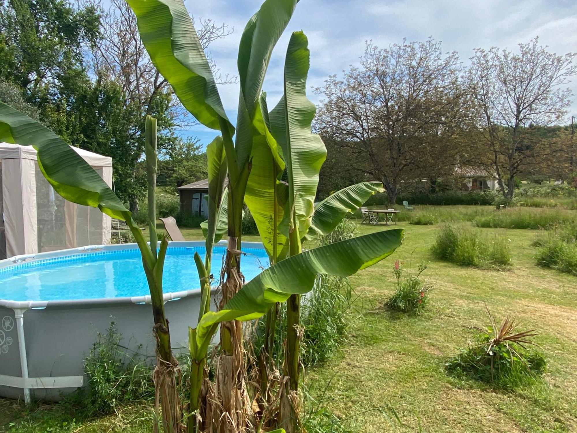 Gite Wildflower Lane Valojoulx Exterior foto